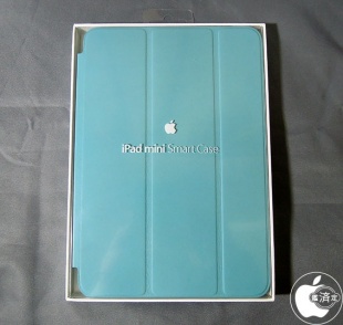iPad mini Smart Case