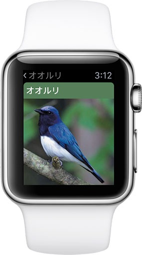 物書堂 Watchos 2に対応したios用野鳥図鑑アプリ 日本の野鳥 1 1 をリリース Watch App Macお宝鑑定団 Blog 羅針盤
