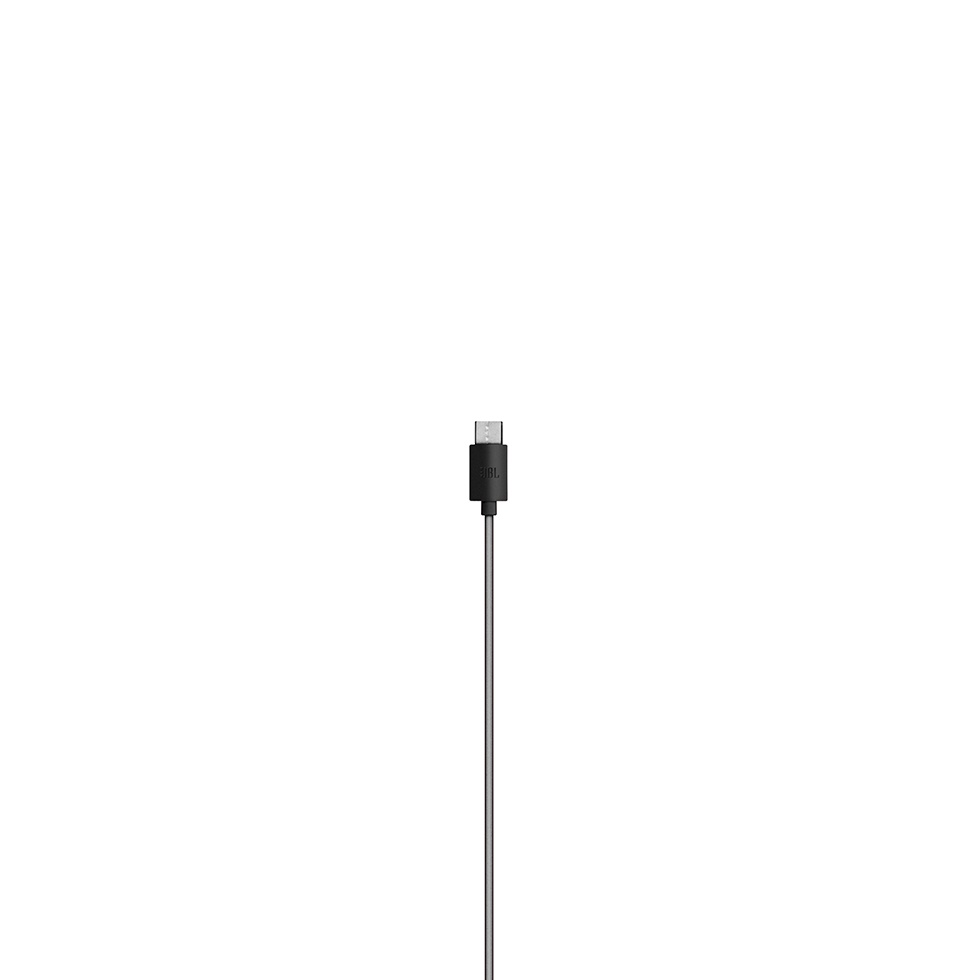 jbl usb c earphones