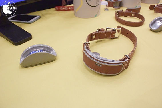 smart dog collar