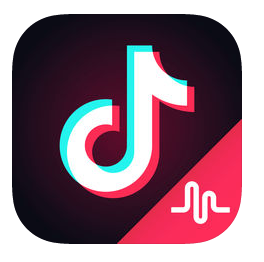 Tik Tok - including musical.ly
