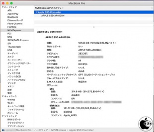 APPLE SSD AP0128N