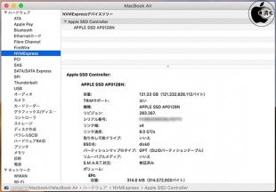 APPLE SSD AP0128N