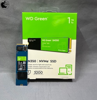 WD Green SN350 NVMe WDS100T3G0C