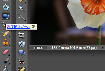 待望のAdobe Photoshop Elements 6 for Macintosh 発売 