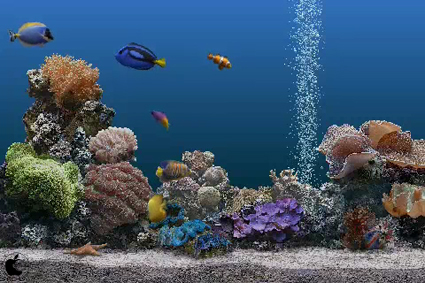 熱帯魚スクリーンセーバーがアプリになった Marine Aquarium を試す Iphone App Store Macお宝鑑定団 Blog 羅針盤