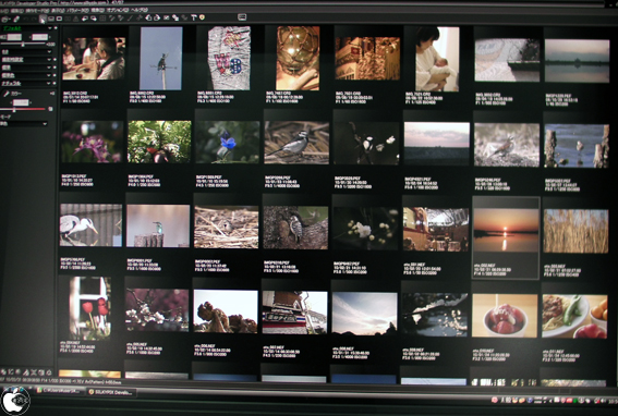 Cp 10 市川ソフトラボラトリー 高画質raw現像ソフトウェア Silkypix Developer Studio Pro を展示 レポート Macお宝鑑定団 Blog 羅針盤
