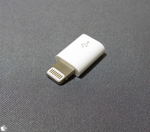 Lightning to Micro USB Adapter