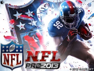 NFL Pro 2013