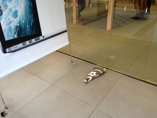 Apple Store, Nagoya Sakae前の献花