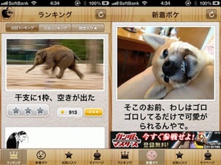 ボケて(bokete) 〜面白写真で一言ボケるお笑いアプリ