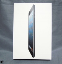 iPad mini