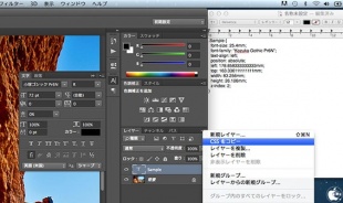 CSSをコピー