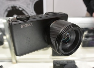 SIGMA DP3 Merrill
