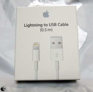 Lightning - USBケーブル（0.5 m）