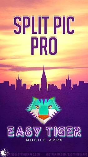 Split Pic Pro