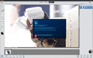 Adobe Photoshop Elements 11 Editor
