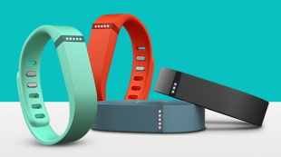 Fitbit Flex