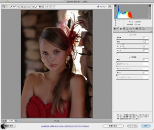 Adobe Camera Raw 8.1