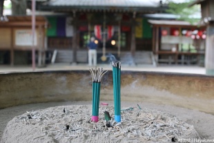 EF24-105mm F4L IS USM 絞り優先AE、シャッター速度：1/30、絞り：4.0、露出補正：なし、ピクチャースタイル：オート