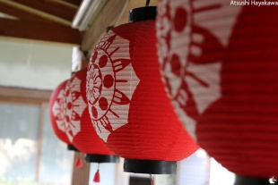 EF24-105mm F4L IS USM 絞り優先AE、シャッター速度：1/80、絞り：4.0、露出補正：なし、ピクチャースタイル：オート