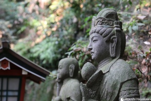 EF24-105mm F4L IS USM 絞り優先AE、シャッター速度：1/60、絞り：4.0、ISO感度：800、露出補正：なし、ピクチャースタイル：オート