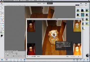 自動スマートトーン補正
