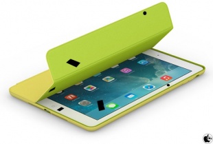 iPad Air Smart Case