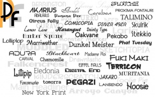 Premium Fonts