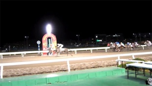 アドビ賞 Ｃ１(五)(六)