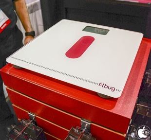Fitbug WoW
