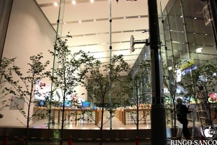 Apple Store, Omotesando