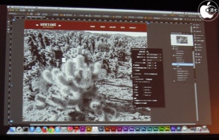 Adobe Muse CC (2014)