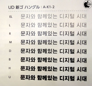 UD 新ゴ ハングル