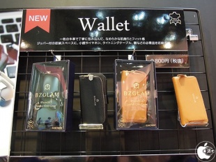 BZGLAM Leather Coin Cover for iPhone5S/5