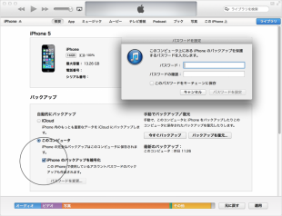 iTunes 11