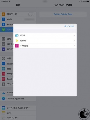Apple SIM Card