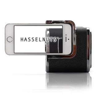 Hasselnuts HN-10