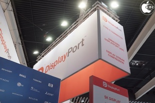 VESA DisplayPort