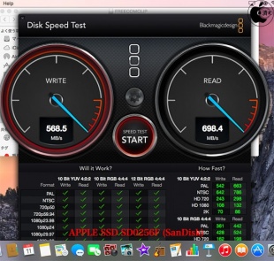 APPLE SSD SD0256F