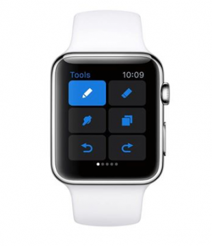 Procreate Pocket for Apple Watch