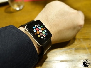 abicase Apple Watch