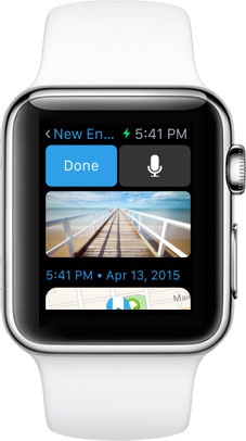 Day One for Apple Watch
