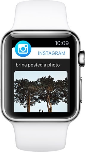 Instagram for Apple Watch