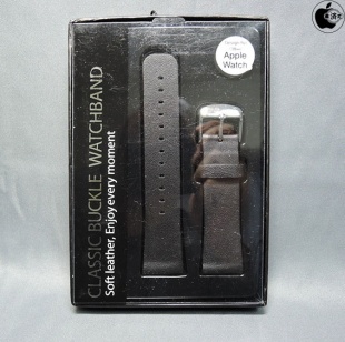 CLASSIC BUCKLE WATCHBAND