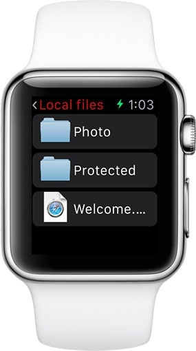 USB Disk Pro for Apple Watch