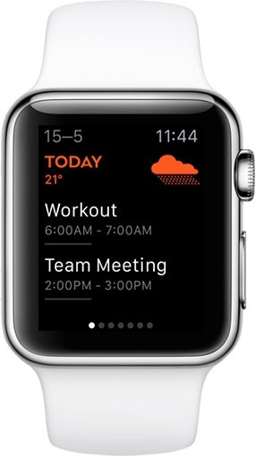 Moleskine Timepage for Apple Watch
