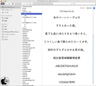 クレー:ミディアム