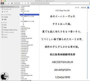 クレー:デミボールド