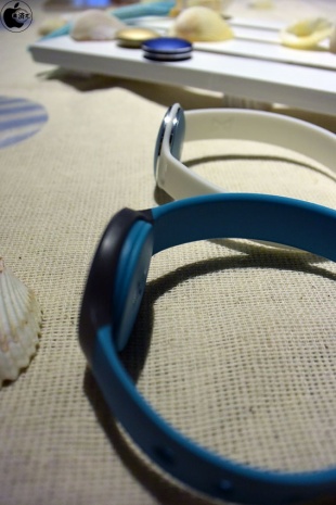 手前が FLASH で、奥が SHINE。素材による違いのためか形状がかなり異なる